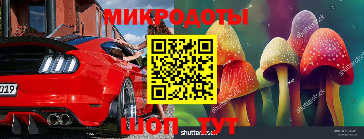 Серов  Псилоцибиновые грибы GOLDEN TEACHER  Вход с VPN  Псилоцибиновые грибы мицелий 